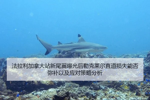 法拉利加拿大站新尾翼曝光后勒克莱尔直道损失能否弥补以及应对策略分析