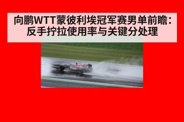 向鹏WTT蒙彼利埃冠军赛男单前瞻：反手拧拉使用率与关键分处理 | jiuyou